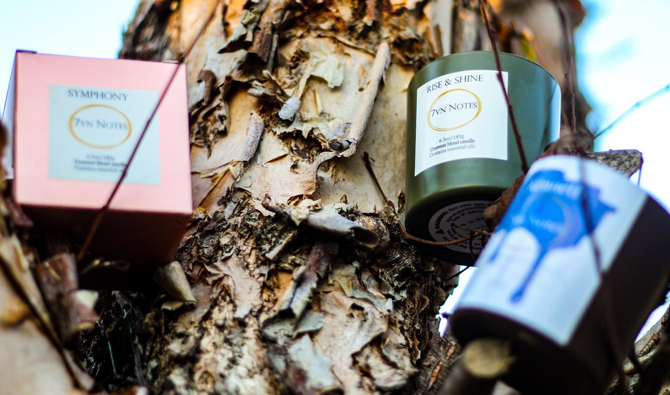 Three candles in a rugged tree with sunsetting